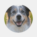 Search for australian shepherd doormats Pets