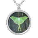 Search for luna moth gifts Butterfly