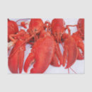 Search for lobster tissue paper Nautical