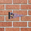 Search for vintage pennants Usa