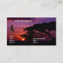 Search for eagle business cards Wildlife