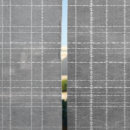 Search for curtains Plaid