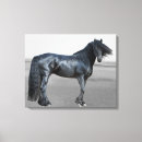 Search for friesian horse art Animal