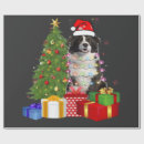 Search for border collie wrapping paper Funny