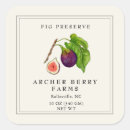 Search for fig Watercolor