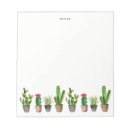 Search for cactus gifts Flowers