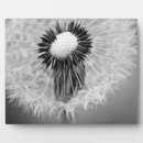Search for 8x10 postcards Nature