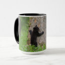 Search for smoky mountain mugs Superstock