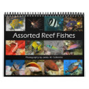 Search for coral reef calendars Fish