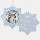 Search for alaskan malamute ornaments Puppy