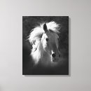 Search for portrait canvas prints Black