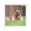 Search for acrylic serving trays Pet