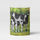Search for cow candles Farm animals