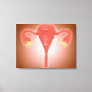 Search for female anatomy canvas prints No people