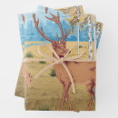 Search for deer hunting wrapping paper Wildlife