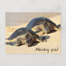 Search for sea turtle postcards Waves