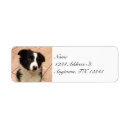 Search for border collie return address labels Puppy