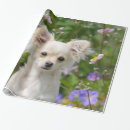 Search for chihuahua wrapping paper Funny