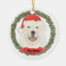 Search for great pyrenees gifts dog mom