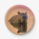 Search for capybara plates Animals