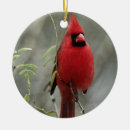 Search for red cardinal bird ornaments Birds