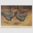 Search for barn tissue paper Furniture