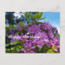 Search for orange flower happy birthday postcards Nature
