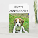 Search for beagle cards Cute