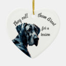 Search for great dane ornaments Cute
