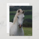 Search for headshot postcards Grey