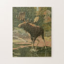 Search for hunting puzzles Water
