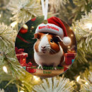 Search for pig ornaments Santa