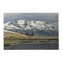 Search for winter placemats Illustration