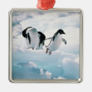 Search for antarctica ornaments Animal