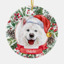 Search for samoyed ornaments Watercolor