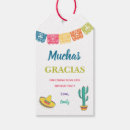 Search for gracias Cactus