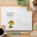 Search for envelopes Cartoon