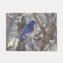 Search for western doormats Blue
