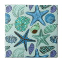 Search for starfish tiles Seashore