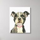 Search for pet supplies Cute