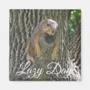 Search for funny squirrel sayings magnets Tree
