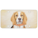 Search for beagle license plates Hound