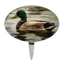 Search for duck cake toppers Mallard