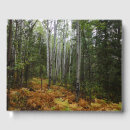 Search for birch tree guest books Forest