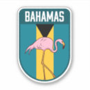 Search for bahamas Wildlife