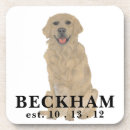 Search for dog coasters Golden retriever