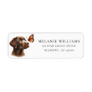 Search for butterfly return address labels Cute