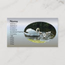 Search for swan business cards nature