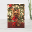 Search for yorkie christmas cards Tree