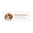Search for cavalier king charles spaniel return address labels Cavie